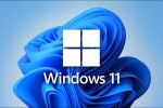 如何在 Windows 11 上映射挂载网络驱动器