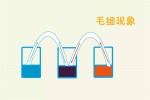 为什么不能往开水中尿尿? 你知道神奇的马拉高尼现象原理吗?