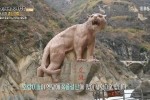 云南虎跳峡快被韩国人占领了 虎跳峡为什么那么受韩国人欢迎