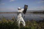 史无前例的禽流感暴发引科学家担忧 Why unprecedented bird flu outbreaks sweeping the world are concerning scientists
